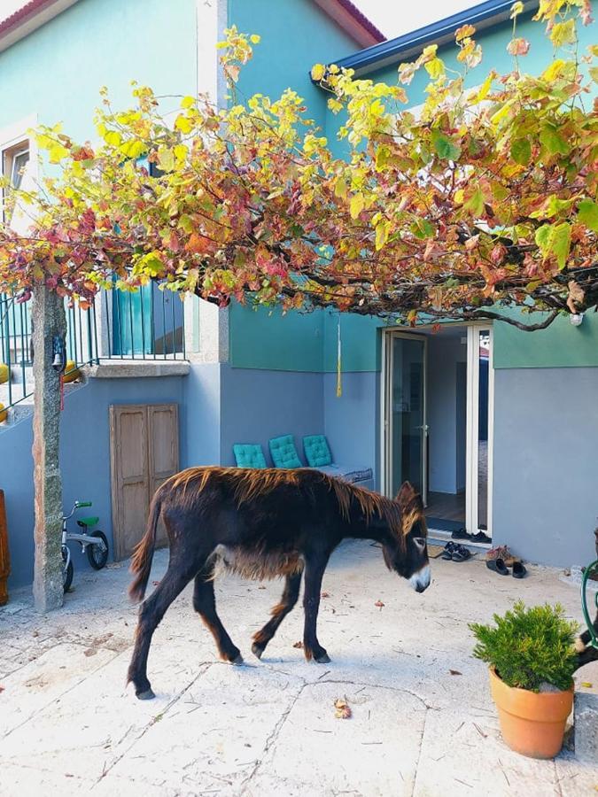 Вилла Quinta Da Quinhas Вила-Прайа-де-Анкора Экстерьер фото